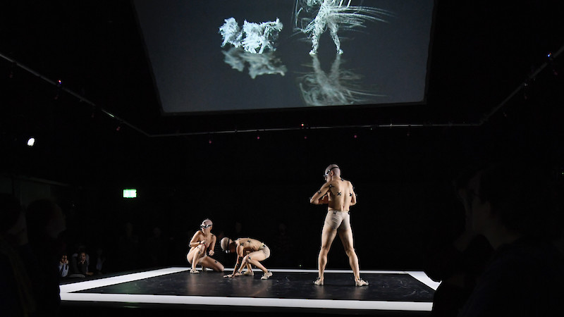 Immersive Art Space