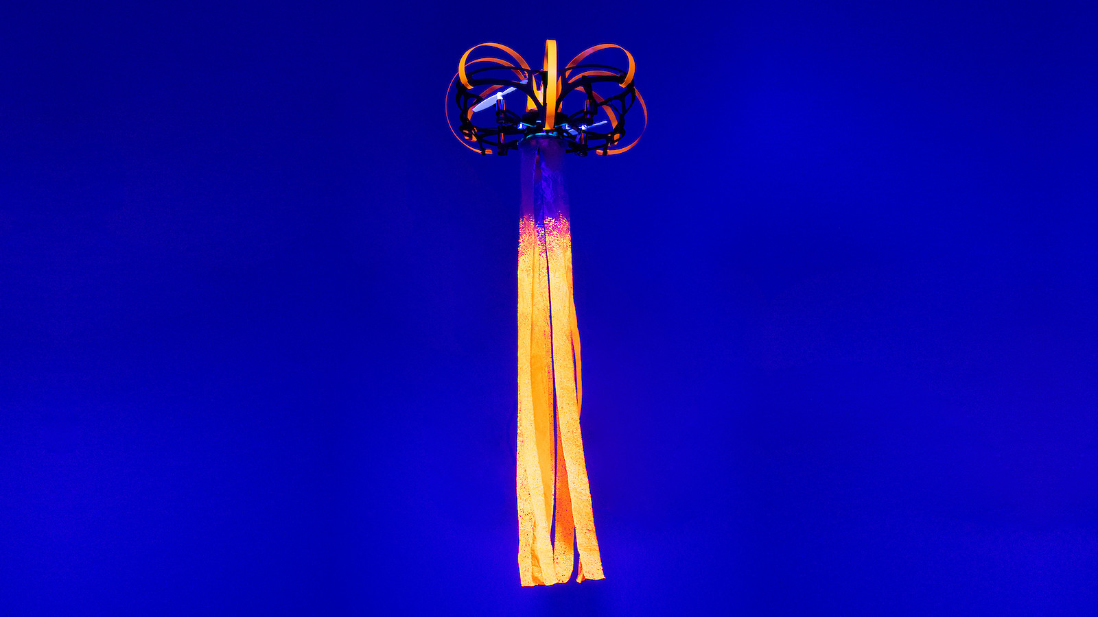 © Jellyfish. Verity Studios.