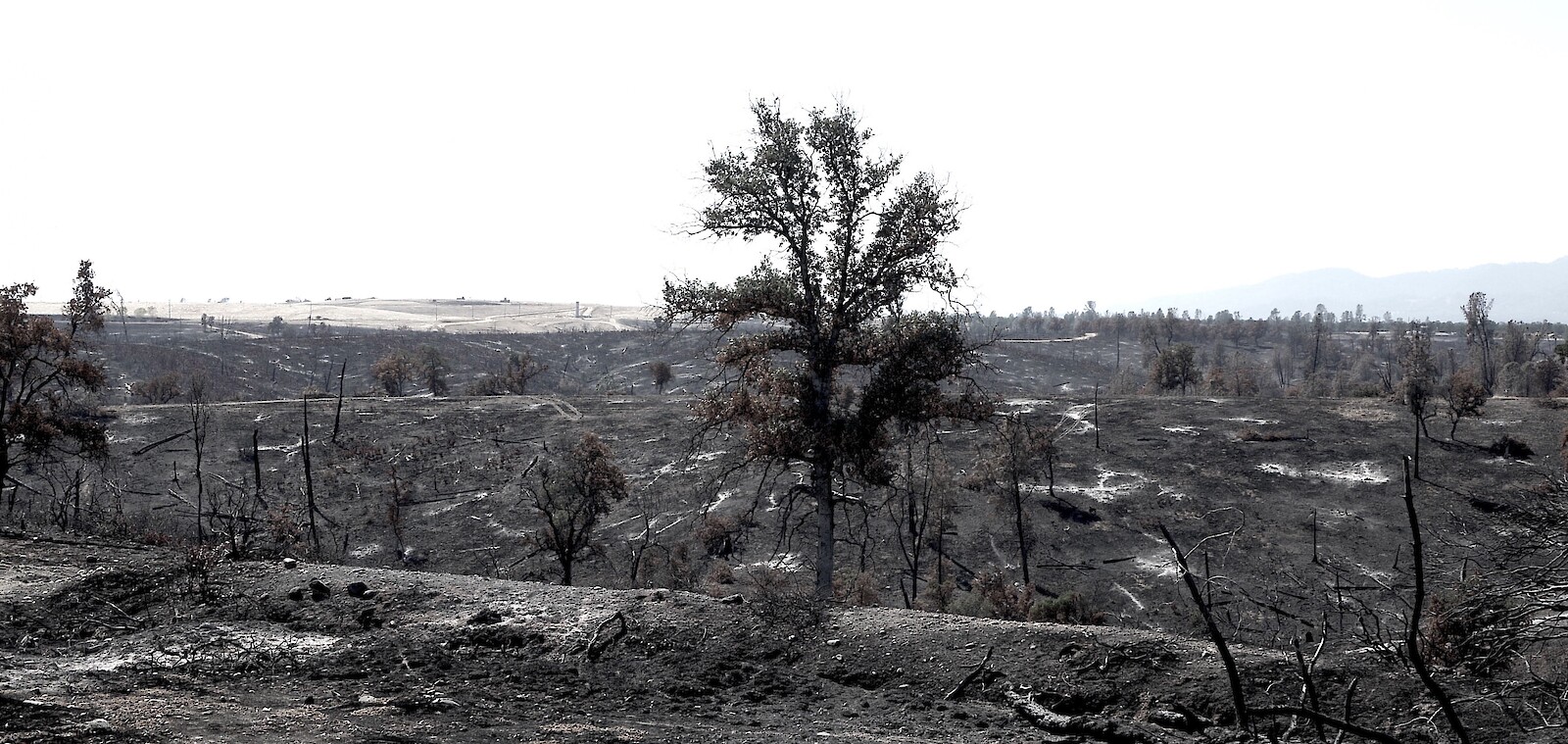 Only Expansion (2019). Duncan Speakman.