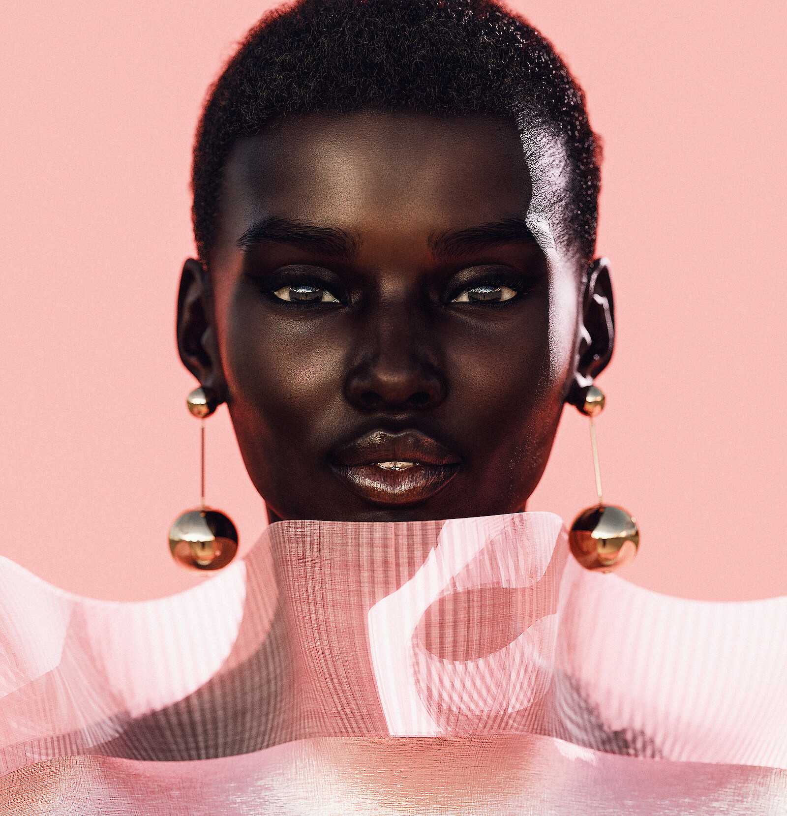 Shudu by Cameron Wilson. Courtesy of the artist.