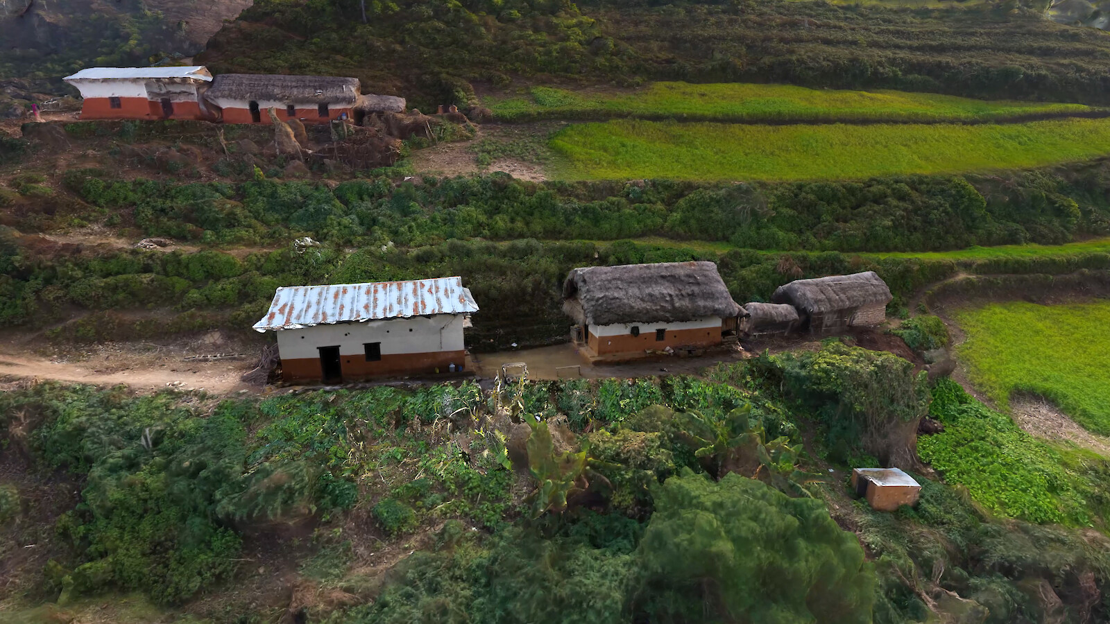 «Kusunda» by Gayatri Parameswaran & Felix Gaedtke.