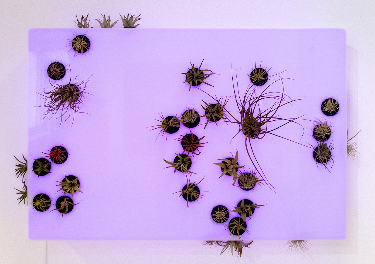 Image «Meteorite Map». © Leandra Agazzi.