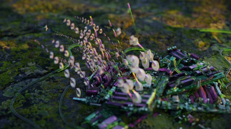 Videostill «Inflorescences» by Sabrina Ratté. © Sabrina Ratté.