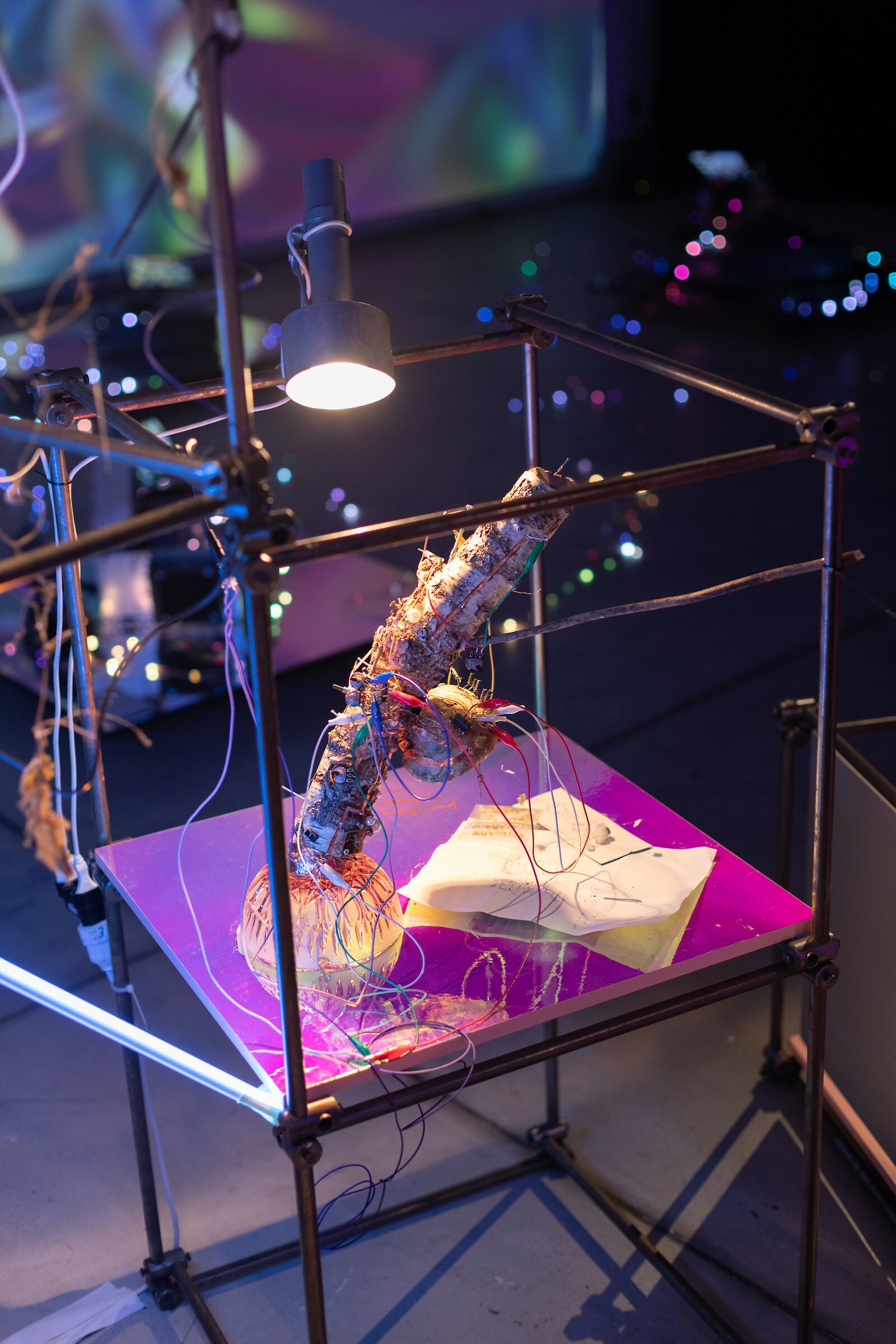 «Are Friends Pizoelectric» (2023) by Miranda Moss. Photo: David Jäggi. © ZHdK.