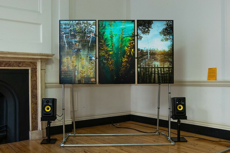 The Seas Are No Longer Dying. Superflux in conversation with Seaweed Coalition. © Cream Projects & Superflux.