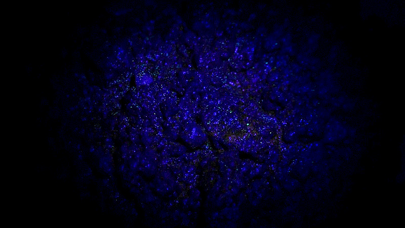 «CHORNOZEM» (2025). © ZHdK.